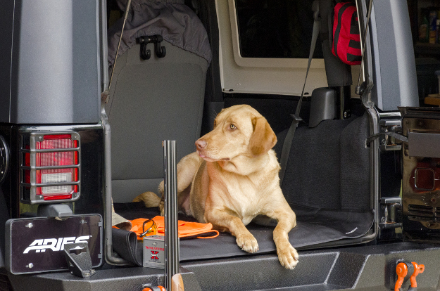 CURT Seat Defender™ cargo blanket - hunting dog CURT Seat Defender™ cargo blanket - hunting dog